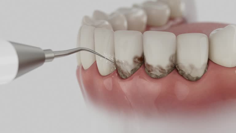 Reliable Dental contractor in Angier, NC by Dentist Open Now